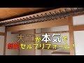 大工が50万円の家を買って本気でセルフリフォームした結果