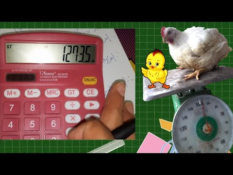 ازاى تحسب وزن الفراخ يوميا واستهلاك العلف والمياه