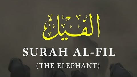 سورة الفيل محمد المقيط