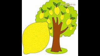 Fruit trees in American English اشجار الفاكهه في اللغة الإنجليزية الأمريكية