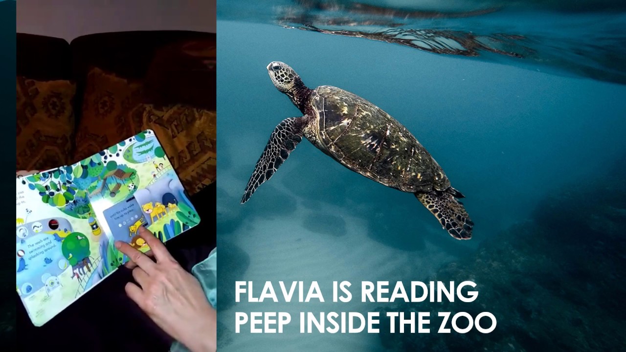 ENGLISH STORY:'PEEP INSIDE THE ZOO' BY ANNA MILBOURNE, NICOLA BUTLER, SIMONA DIMITRI AN USBORNE BOOK