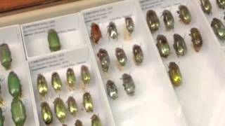 The Type - A Song By John Hinton