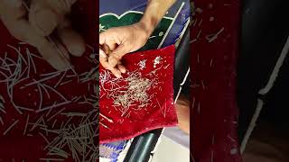 Crafting the Perfect Blouse: From Design Debates to Handcrafted Reality | Vagtha