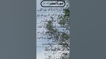 SURAH AL HASHR BEAUTIFUL VOICE سورة الحشر #egzonibrahimi #surahalhashr #surahhashr