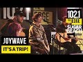 Joywave - It&#39;s a Trip! (Live at the Edge)