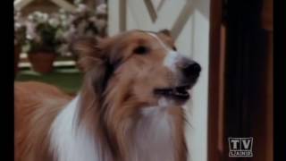 The New Lassie (Season 1 Eps.16)