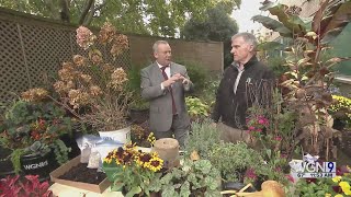 The Gardener's Toolbox: Tips to make your fall garden clean-up easier!
