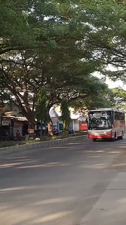 PO aneka jaya keluar dari terminal seloaji Ponorogo...otw ke terminal Bungurasih Surabaya #busmania