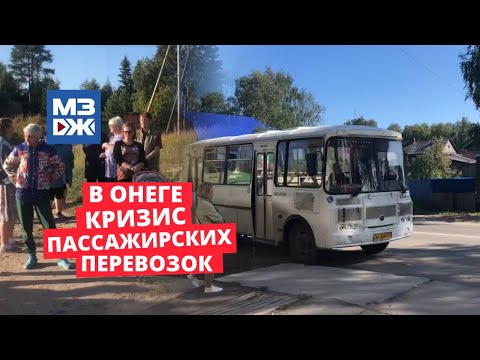 МЗЖ: В городе
