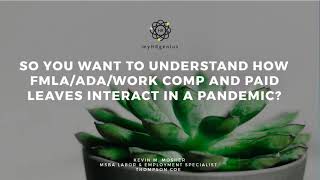 So You Want to Understand How FMLA/ADA/Work Comp and Paid Leaves Interact in a Pandemic?