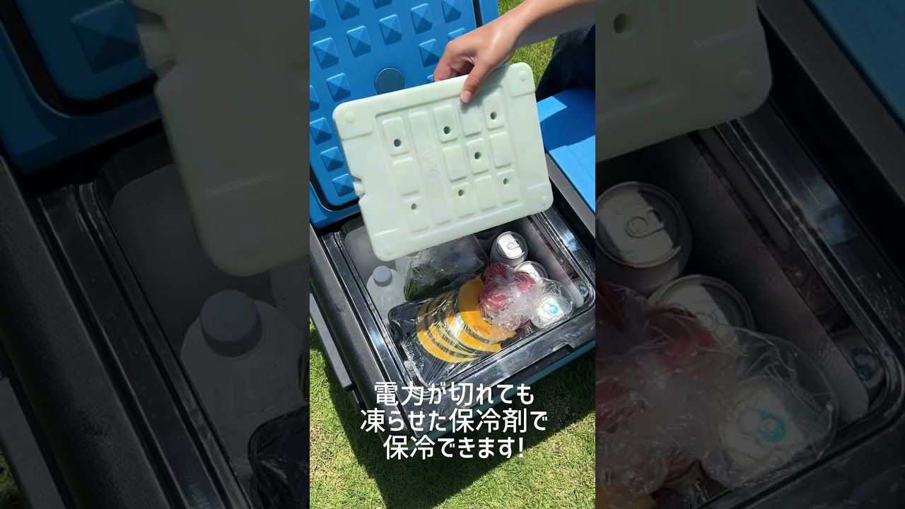 野電）エレキャン・凍結冷凍冷蔵庫 25-BF（-30℃/20℃ 2ドア ホイール