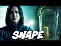 What Severus SNAPE Would See in the Mirror of Erised - Harry Potter Theory