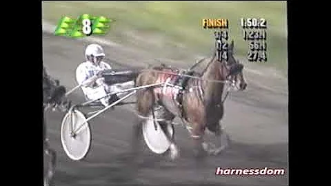 1997 Meadowlands GEE GEE DIGGER Howard Parker Invi...