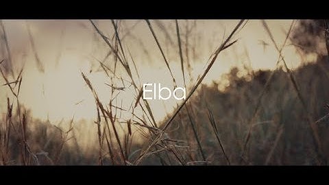 Elba | Feat. Mutable Instruments Marbles, Rings, Clouds, Tides, 2HP Verb & WMD MMF.