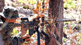 USMC SNIPERS Conduct Live-Fire Sniper Range During Exercise Southern Jackaroo In Australia