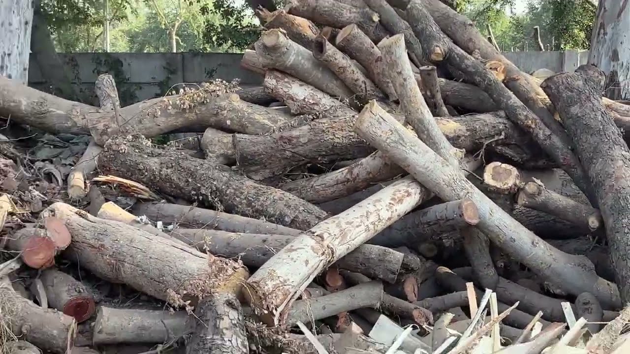 वुड चिप्पर मिलेगा @AkarShakti #heavymachinery #briquettemachine #pelletindustry #plywoodworking