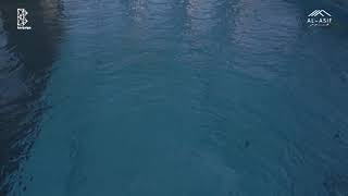 My Career Nasir Iqbal