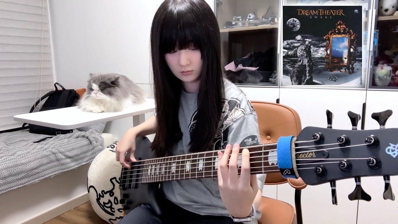 Dream Theater - Erotomania (bass cover)