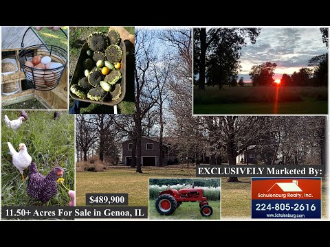 33805 N. State Rd., Genoa, IL home video tour