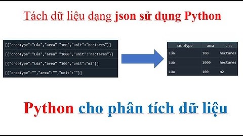 Xử lý dữ liệu dạng JSON thành dạng DataFame sử dụng Python | Python for Data Analyst