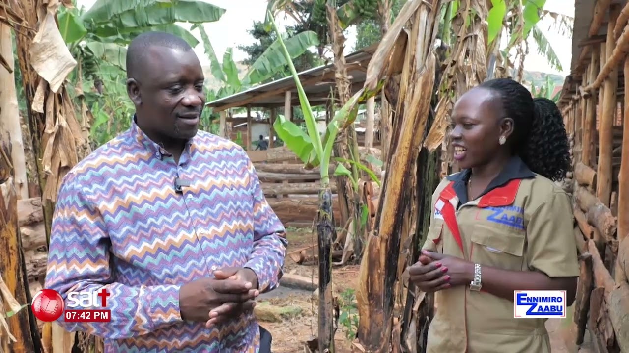 ENNIMIRO ZZAABU - Ennunda y'embizzi ey'omulembe