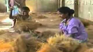 CANNA COCO - Welcome to the next level. Part 2 of 3