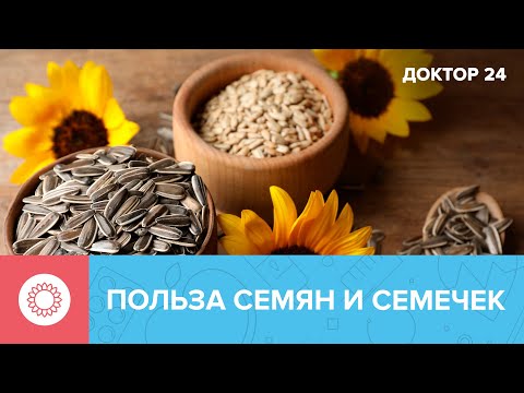 Чем полезны СЕМЕНА и СЕМЕЧКИ? | Доктор 24