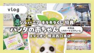 Sylvanian Families Vlog] I got a prize from a lottery 🐼: a baby