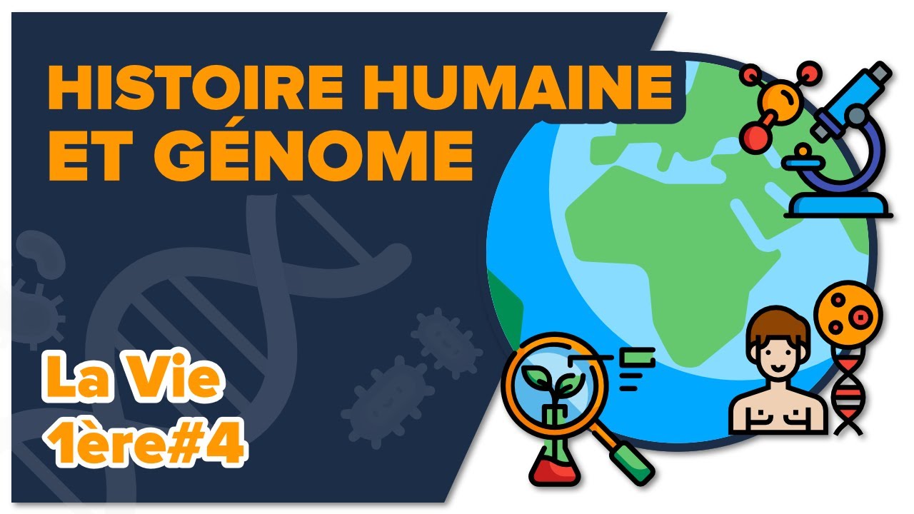 Chapitre 16: l'histoire humaine lue dans son génome – Comprendre et  enseigner les sciences naturelles