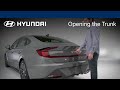 Opening the Trunk | Sonata | Hyundai