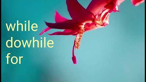 Looping statements in php / Tamil