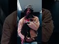 They've got those dawgs with 'em #dog #arrival #nba #fitcheck