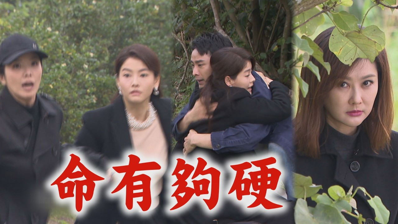 【百味人生】EP138 承昊機智釣出媽的交易!槍林彈雨中救人 貴人好多(?)助月霜逃紅雪氣不過│完全娛樂