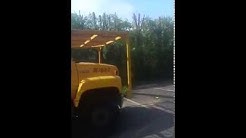 Discount Tree Care - Los Angeles - San Bernardino CA