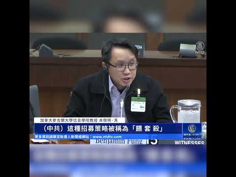 加拿大华裔教授国会作证 揭露中共“围猎”加国学者