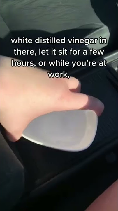 Get Rid of Car Smells Fast