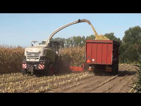 Jennissen Claas jaguar 870 maishakselen  boxtel 17-9-2020 part 8 #trotsopdeboeren