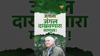 ज्याने संपूर्ण जगाला घडवली जंगलाची सफर...#davidwildlife #wildlife #jungleadventure #forest