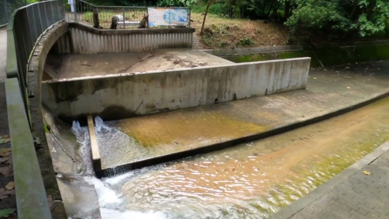 Lohas Park Waterfall | HONGKONG