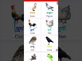 30 Animals names-Hindi &amp; English | Simple Sentences | Animals names &amp; sounds | WATRstar #animalsnam