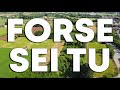 Cerco un COLLABORATORE AGRICOLO