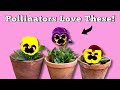 If I Would Know About This Plant Before - Pansy Plant Care