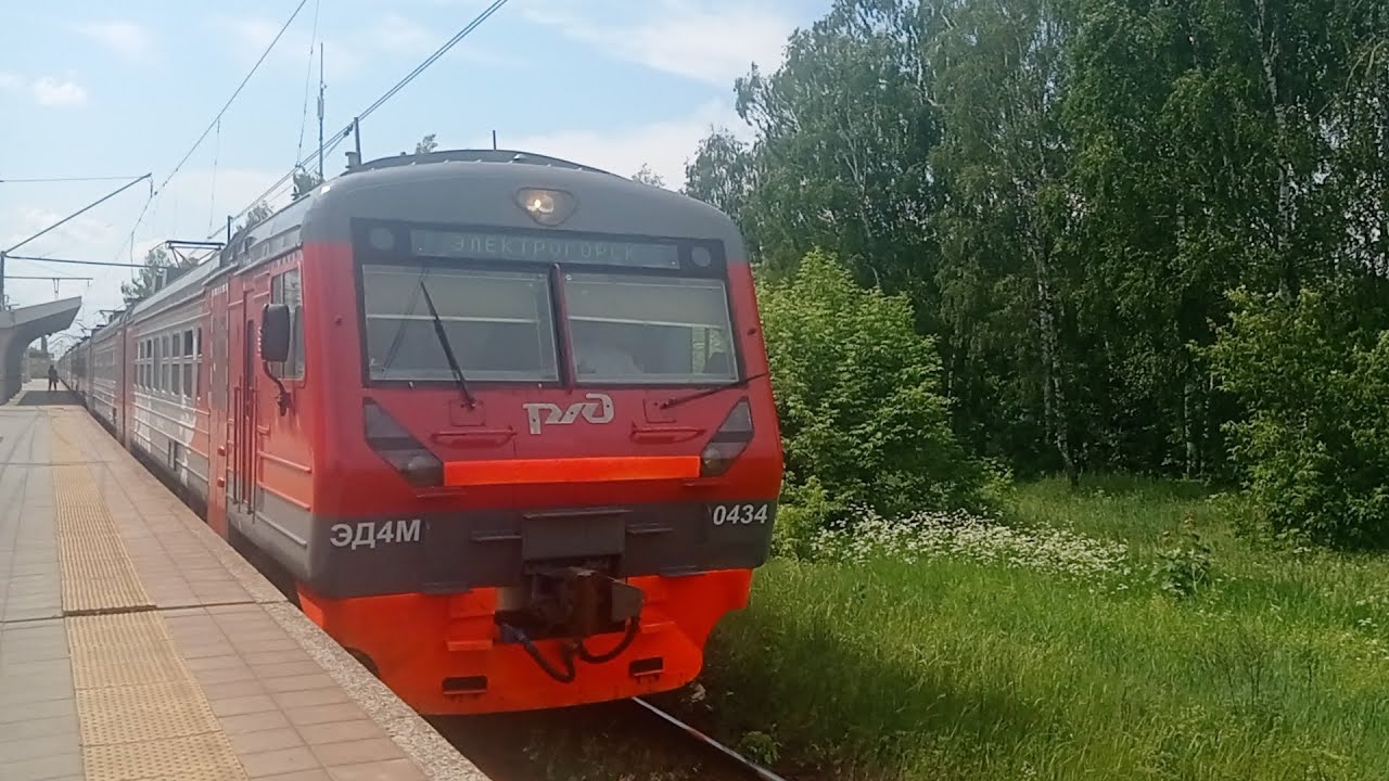 Расписание электричек электрогорск москва курский вокзал. Эд4м РЭКС. Эд4м РЖД.