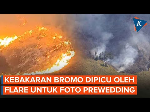 Kronologi Kebakaran di Bromo, Berawal dari Flare Prewedding, 50 Hektar Lahan Dilalap Api