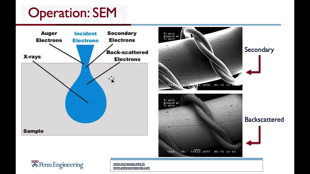 Electron Beam Microscopy