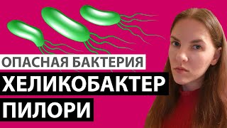 ХЕЛИКОБАКТЕР ПИЛОРИ. ВСЁ О БАКТЕРИИ. СИМПТОМЫ, КАК ЛЕЧИТЬ