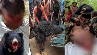 ⚠️Wild Bears Attack—Plz Don't Come Here🙏 Bears Attacked A Man😭Wildlife Attack Human Jungle