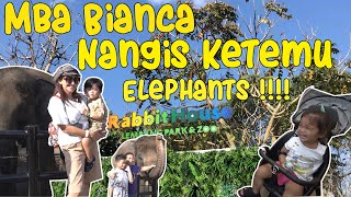 Mbak Bianca was shocked!!!! See the elephant live!!!!!