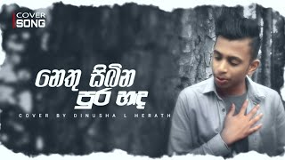 Video thumbnail of "Nethu Sibina Purahanda( Siyambala Malak)Cover By Dinusha L Herath ❤😇🥺😍"