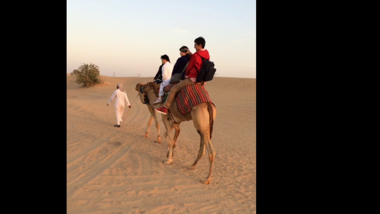 dubai desert safari youtube